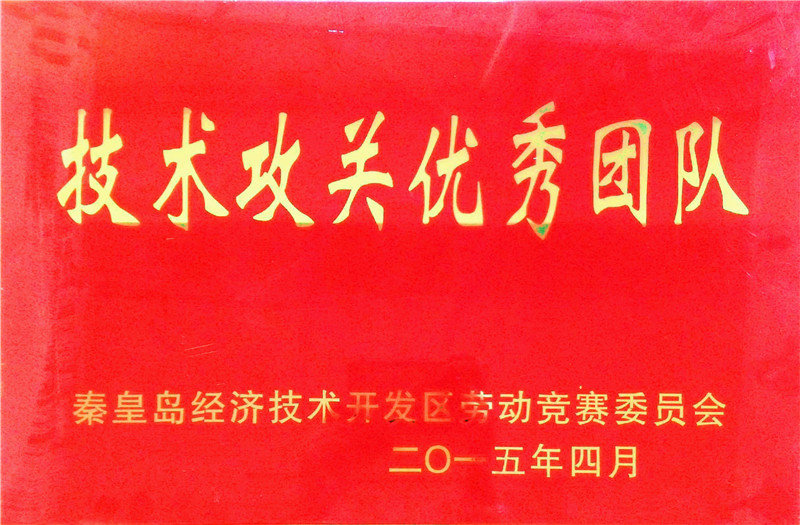 19技术攻关优秀团队
