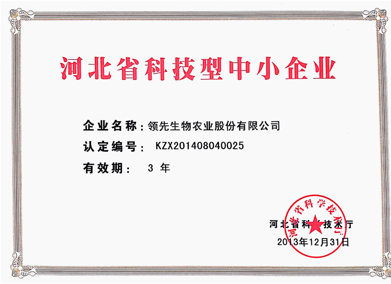 河北省科技型中小企业证书