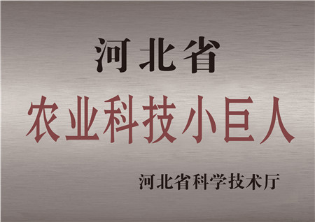 领先生物农业股份有限公司被评为河北省农业科技小巨人