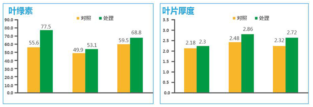 领先生物“海藻+氮磷钾+腐植酸”让果树旺起来